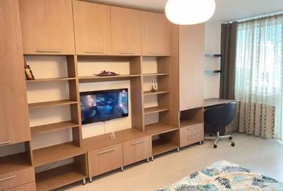 Inchiriere garsoniera Dristor rond Baba Novac - 7