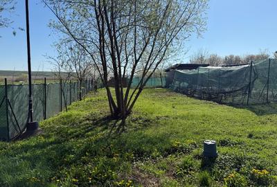 Vand Casa Cu Acces La Lac - 4