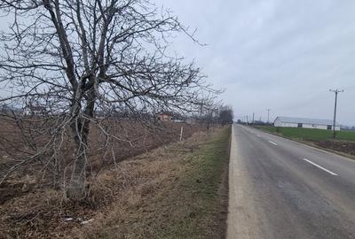 Teren la asfalt in Bucecea - 2