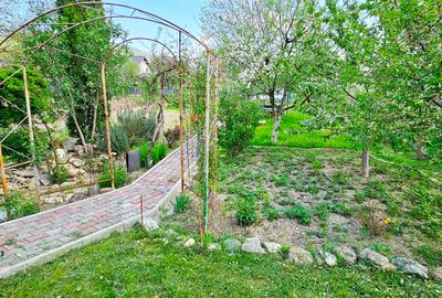 Proprietate Piatra Neamt- Vila cocheta cu garaj, beci si teren - 19