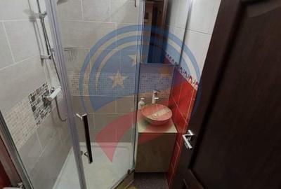 Garsonieră de închiriat Craiova centru, 24 mp, mobilată, aer condiționat - 8