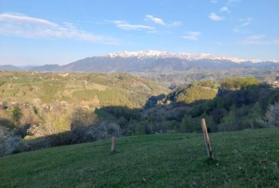 Teren 3,618mp Pestera / Strada Principala - 1