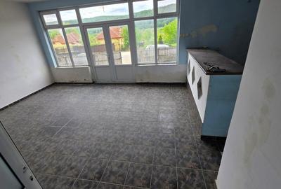 CASA/SPATIU COMERCIAL - GENUNENI - 26