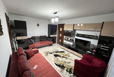 Apartament cu 2 camere semidecomandat, mobilat în Brazda lui Novac