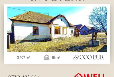 Casă de vânzare în Peteni! - 1