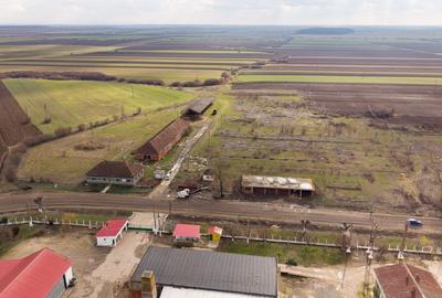 Fermă cu teren intravilan de 35000 mp în Mișca - 20