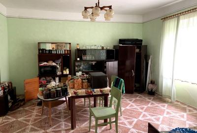 Casa individuala în Otelec - 3.313 mp teren - 2 fronturi stradale - 8