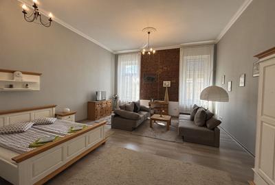 Apartament cu o camera în clădire istorică ,zona Maria - 1