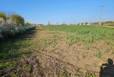 10.100mp TEREN CONSTRUCȚII INTRAVILAN POTIGRAFU, DESCHIDERE 31m direct la DN1 - 10