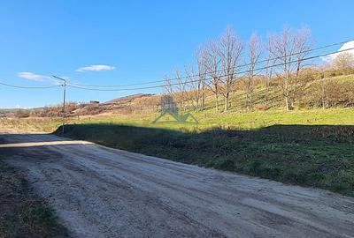 Teren intravilan 2500 mp \Sibiu \Sura Mare - 6
