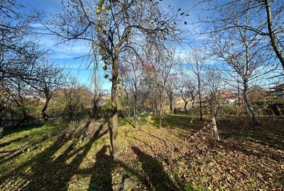 GOSPODARIE - liniste - natura - DE VANZARE - 2