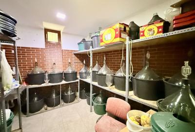 Piata Unirii Fantani Vila  500 mp utili curte 204 mp - 21