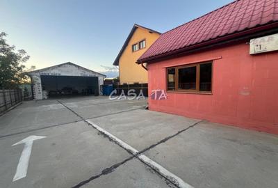 Inchiriere spatiu comercial si Hala, Targu-Jiu Str. Narciselor - 1