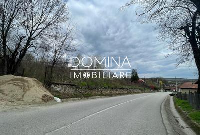 Vanzare teren intravilan - Runcu - oportunitate intr-o zona turistica deosebita - 9
