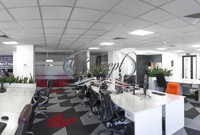 Spatiu de birou premium cu terasa, la cheie in cartierul Marasti - 2