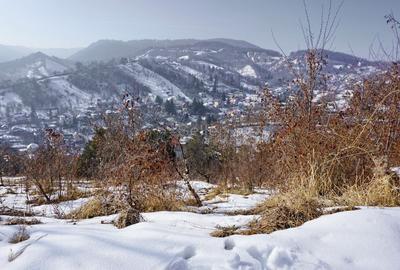 Teren Intravilan - Zona Drumul Poienii - 1