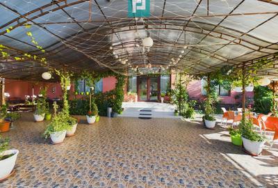Sala de evenimente în inima naturii - 9