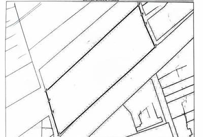 Teren intravilan Girisu De Cris - 1