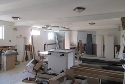 Vanzare imobil locuit + sp. productie Baneasa-Centura Odai-VOLVO, teren 1437 mp - 24