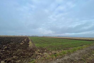 TEREN EXTRAVILAN 13 ARI | FRONT STRADAL 13 M | MARGINEA - 1