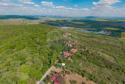 De vânzare casă și teren 1.425 mp - Podgoria - 11
