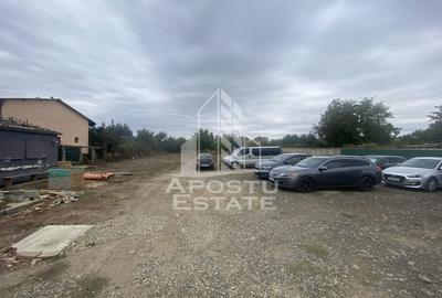 Casa în Dumbrăvița cu teren de 3039 mp și Front Stradal de 40 ml - 4