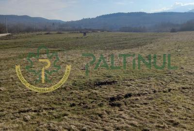 Vindem teren Sibiu, Valea Lupului, priveliste deosebita - 5