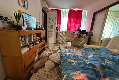Apartament cu 2 camere nedecomandat, mobilat în Șagului