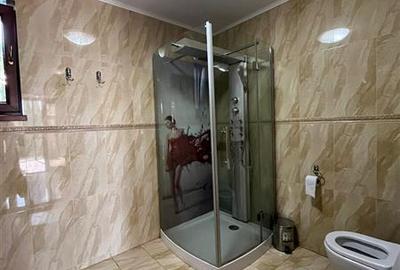 Vila Sat Costi 340mp construiti  teren 464mp Comision 0% - 17