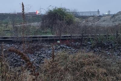 SPLAIUL UNIRII, SOSEAUA DE CENTURA, CATELU - 1