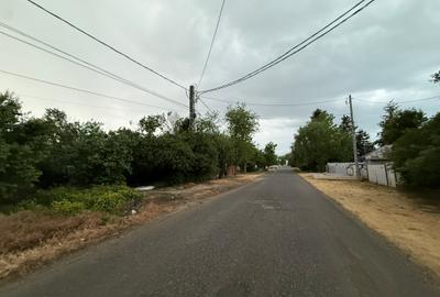 Teren 1000 mp Adunații-Copăceni (Dărăști-Vlașca)-Giurgiu - 15
