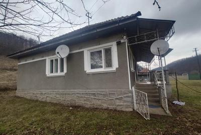 1.3 haTeren si  Casa Luncoiu de Jos - 9