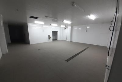 Hala - flux DSV - domeniu alimentar - productie sau catering - 9