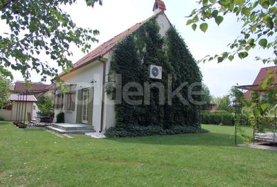 Vila speciala cu gradina superba de 1000mp - 14