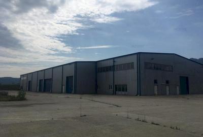 HALA NOUA PRODUCTIE/DEPOZITARE - 8
