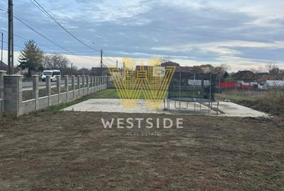 Vila deosebita de vanzare, in Biled - 9