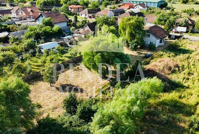 Casa individuala P+ M Giarmata, vatra satului 1496mp teren - 4