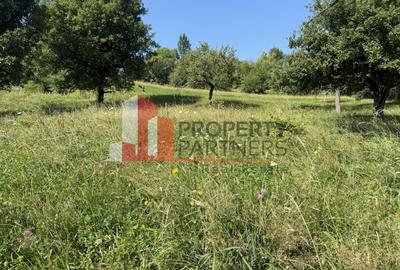 Teren Sohodol 5000 mp - 6