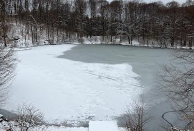 LAC MOGOSA, vila D+P+E+M cu 3ari teren! - 4