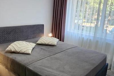 Apartament 3 camere, b-dul Victoriei, renovat, mobilat, utilat, parter / 8 etaje - 4