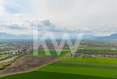 Teren intravilan de vanzare - Halchiu - 13