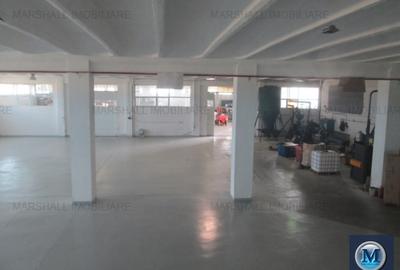 Spatiu industrial de inchiriat in Filipestii de Targ, 2500 mp #12438 - 5