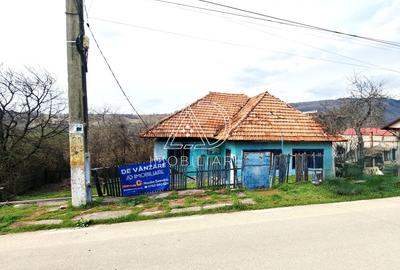 Casă de vânzare în Baia de Fier – zonă turistică deosebită - 5