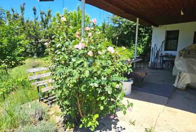 RARA AVIS! Teren 1550 mp, deschidere 31 m, zona Ferme, Otopeni - 5
