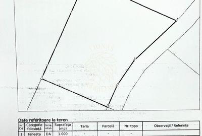 Teren intravilan 1000 mp-ideal cabana, investitie-Colibita - 3