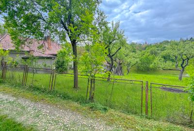 Teren 1500mp, intravilan cu utilitati, in proximitatea complexului Vila Bran - 13