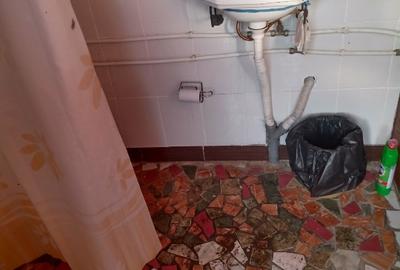 Teren INTRAVILAN în Delta Dunării – 1035 mp – Chilia Veche – locație rară - 3