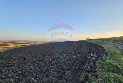 Teren extravilan 30077mp Stroiesti / Soseaua DN17, Suceava - 15
