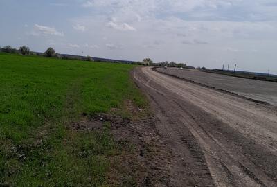 Buftea, teren industrial 16.635 mp, acces paralel cu noua centura - 4