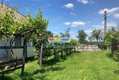 Răchitele de Jos,Arges,2 case 100 mp, teren 2000 mp, - 24